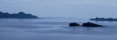 Photo of Islas del Carmen, Danzante, Santa Catalina, Brad Hollingsworth,  © 2000 SDNHM