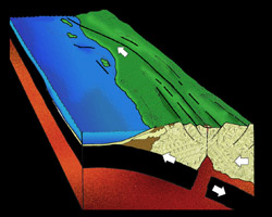 [diagram of Middle Miocene Epoch, Brad Riney © 2000 SDNHM