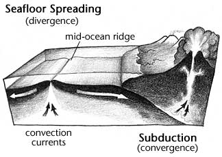 drawing demonstrating both seafloor spreading (divergence)  and subduction (convergence)