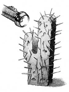 sketch of sponge with toothpicks and flashlight