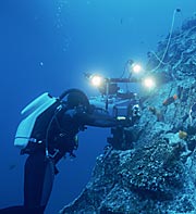 Photo of Bob Cranston filming fish