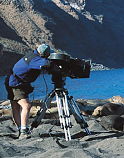 Filming the elephant seals on Guadalupe Island