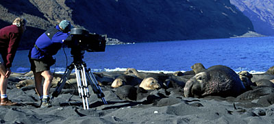 James Neihouse filming Guadalupe Sea Lions