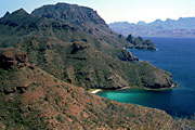 Photo of Isla Danzante, Brad Hollingsworth © 2000 SDNHM