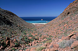 Foto de Los Candeleros isla Espiritu Santo, Brad Hollingsworth © 2000 SDNHM