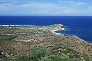 Foto de isla Espiritu Santo, Brad Hollingsworth © 2000 SDNHM