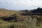 Foto del interior de la isla Tiburón, por Brad Hollingsworth,  © 2000 SDNHM