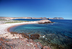 Foto de la parte norte terminal de la isla Tiburón, por Brad Hollingsworth  © 2000 SDNHM