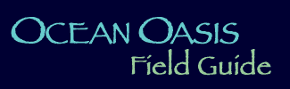 [Ocean Oasis Field Guide]