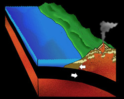 [diagram of Middle Cretaceous, Brad Riney © 2000 SDNHM