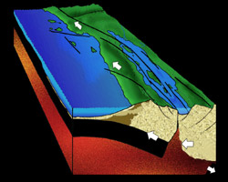 [diagram of Late Miocene Epoch, Brad Riney © 2000 SDNHM