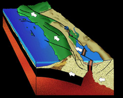 [diagram of Pleistocene Epoch to today, Brad Riney © 2000 SDNHM