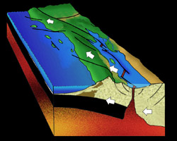 [diagram of Pliocene Epoch, Brad Riney © 2000 SDNHM