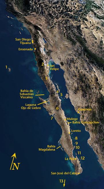 Satellite image of Baja California showing locations in the film