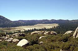 Meadow and boulders, photo by Jon Rebman, SDNHM