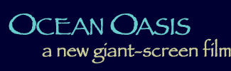 Ocean Oasis - a giant screen film
