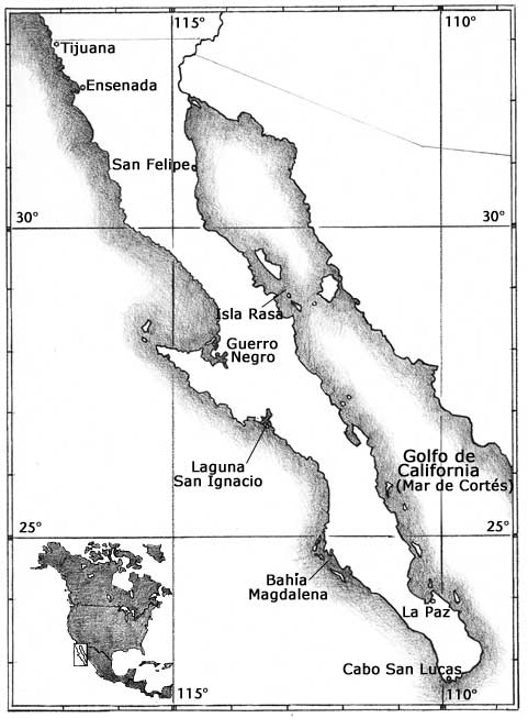 Map of Baja California