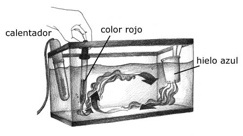 dibujo de un acuario que demuestra las corrientes de convección