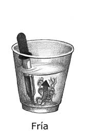 dibujo de un vaso que muestra efectos de colorante de comida en agua caliente