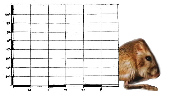 dibujo de la gráfica con la rata canguro asomándose por detrás