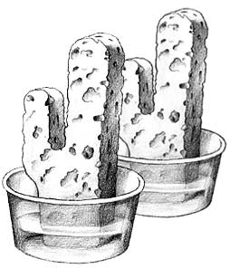 drawing of sponges standing up in water