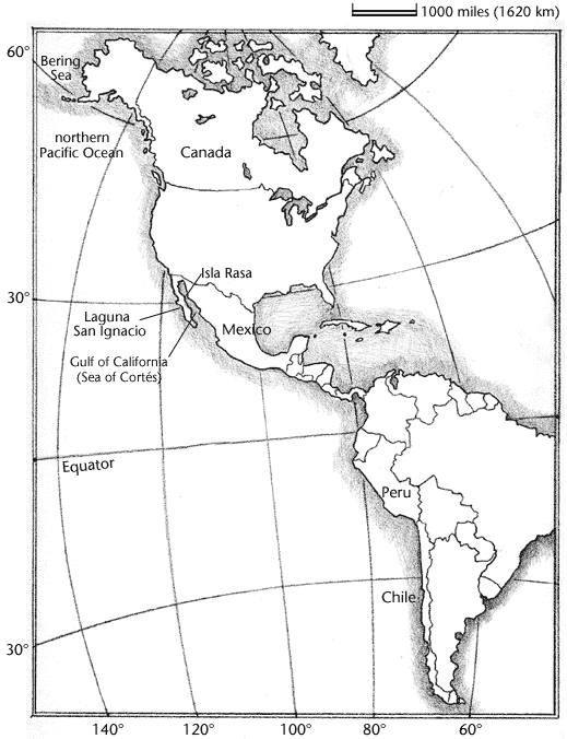 map of the Western Hemisphere